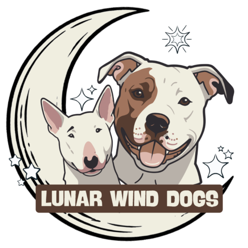 Marcell Minimal Personal Blog